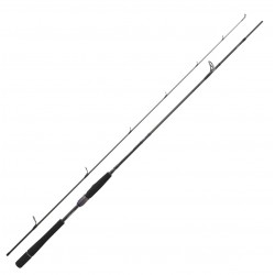 Canne Spinning Prorex AGS 2.44 M 14-56 G 802 HX HFS PXAGS802HXHFSBF Canne Daiwa nouveauté 2021