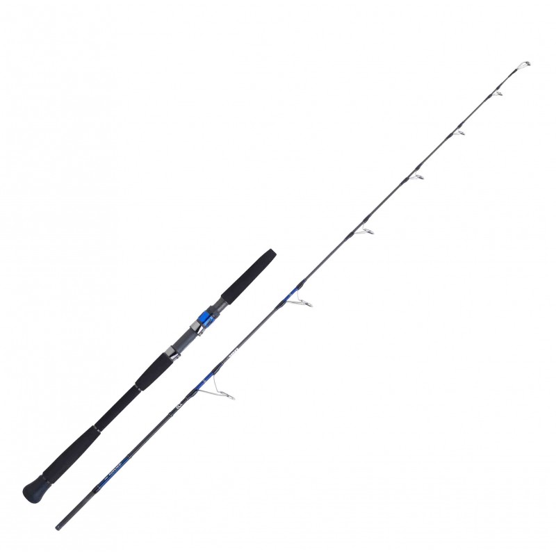 Canne Jigging Daiwa Saltiga hiramasa Jigging 1.73 M 90-210 G 58 HS SGJG58HSBF Canne Daiwa nouveauté 2021