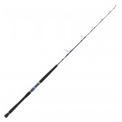 Canne Jigging Daiwa Saltiga Deep 55 Jigging 1.65 M 100-300 G Deep 55 SGJGD55BF Canne Daiwa nouveauté 2021
