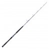 Canne Jigging Daiwa Saltiga Deep 55 Jigging 1.65 M 100-300 G Deep 55 SGJGD55BF Canne Daiwa nouveauté 2021