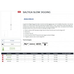 Canne Saltiga Slow Jigging SJ 61 B2 61 B3 61 B4 61 B5 Canne Daiwa nouveauté 2021