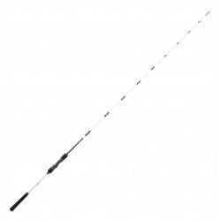 Canne Casting Slow Jigging Saltist Off Shore 1.88 M 90-210 G SJ 62 HB SLTSJ62HBCF Canne Daiwa nouveauté 2021