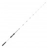 Canne Casting Slow Jigging Saltist Off Shore 1.88 M 90-210 G SJ 62 HB SLTSJ62HBCF Canne Daiwa nouveauté 2021
