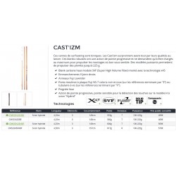 Canne surfcasting Daiwa Cast'izm 33