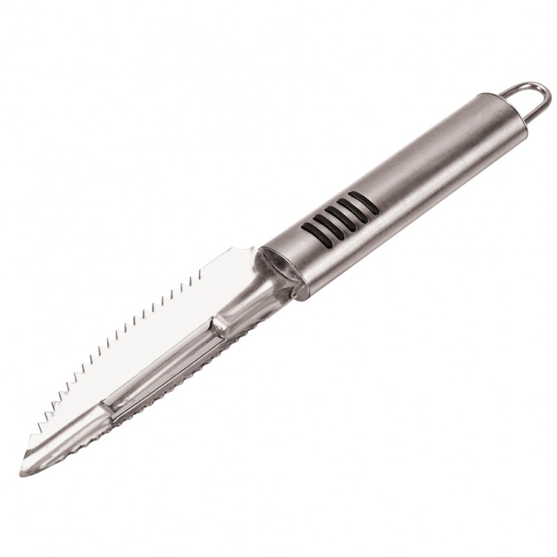 écailleur à poisson inox 22 cm peche en mer daurade loup mulet pecheur peche flashmer