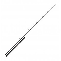 Canne Daiwa peche exo Saltiga casting 2.51 M 83-6 PE6 SALTIGA836 catalogue Daiwa 2022