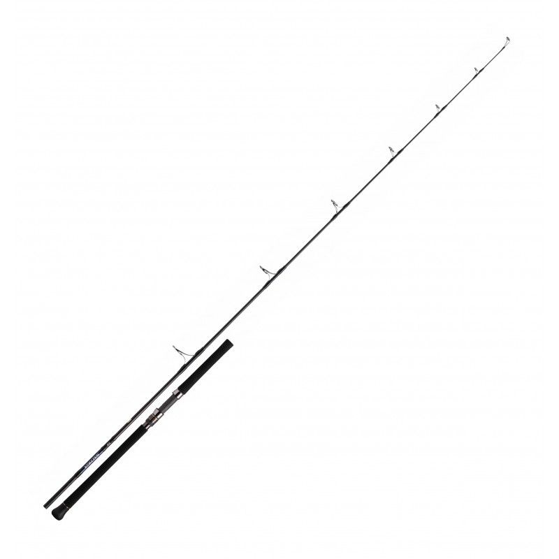 Canne Daiwa peche exo Saltiga casting 2.39 M 710-8 PE8 SALTIGA7108 catalogue Daiwa 2022