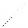 Canne Spinning Daiwa peche exo Saltist 2.44 M 30-70 G 802 H SLT802HCF catalogue pêche Daiwa 2022