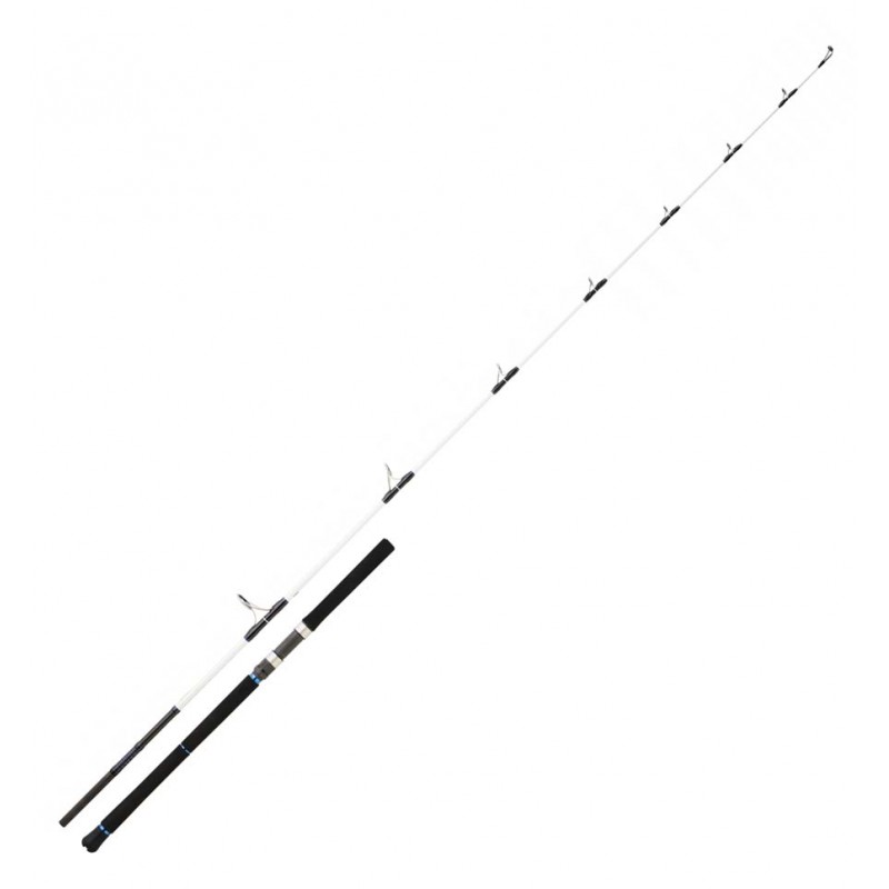 Canne Spinning Daiwa peche exo Saltist 2.59 M 50-130 G 862 XH SLT862XHCF catalogue pêche Daiwa 2022