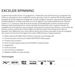 Canne lancer Spinning Daiwa Exceler série D catalogue pêche Daiwa 2022