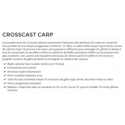 Canne Carpe Daiwa Crosscast Carp AX 0312 2300 2312 3312 2412 catalogue carpe Daiwa 2022