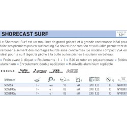 Shorecast Surf 25 5000 A Moulinet Daiwa SCS25A chez pecheur peche com catalogue daiwa 2019