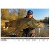 moulinet truite daiwa SilverCreek MQ 22LT peche spinning truite catalogue pêche Daiwa 2023