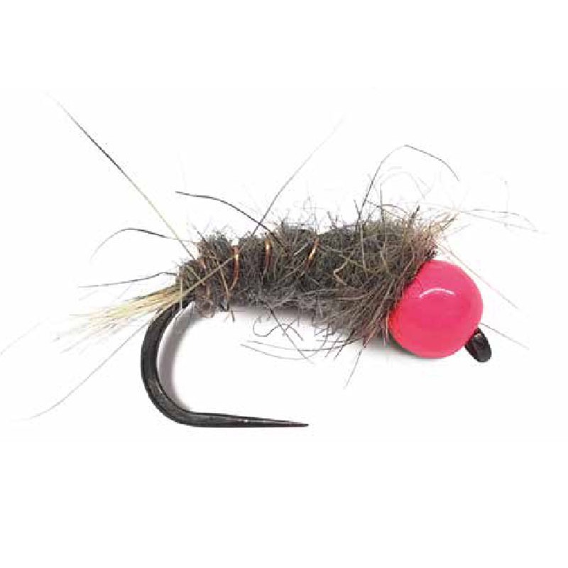 lot Nymphe de pêche LJ Rose taille 10 Bille 4 mm Nymphe catalogue pêche Laurent Jauffret 2023