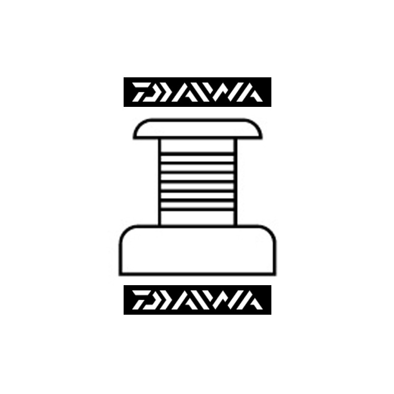 Acheter Bobine supplementaire moulinet Daiwa Saltist MQ 20000 2021 M200801 SAV réparation entretien moulinet Daiwa