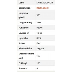 canne Ionizer G2 2.90 M 15-65 G INGSL 962 H Canne Long Range Spinning