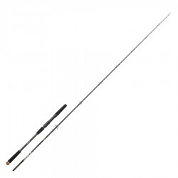 Canne spinning Sakura Ionizer G2 1.98 M 14-100 G INGSP 662 XH Power Game SAPRL801166-1+1XH catalogue peche Sakura 2024
