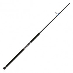 Canne spinning Tailwalk Sprint Stick SSD 2,10 m maxi 60 g TWCSS-70M catalogue peche Tailwalk 2024
