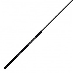Canne spinning Rize Shooter SSD 2,92 m Maxi 65 g S96MH catalogue pêche Taiwalk 2024