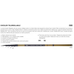 Canne truite reglable Daiwa Exceler Réglable DF catalogue article peche Daiwa 2024