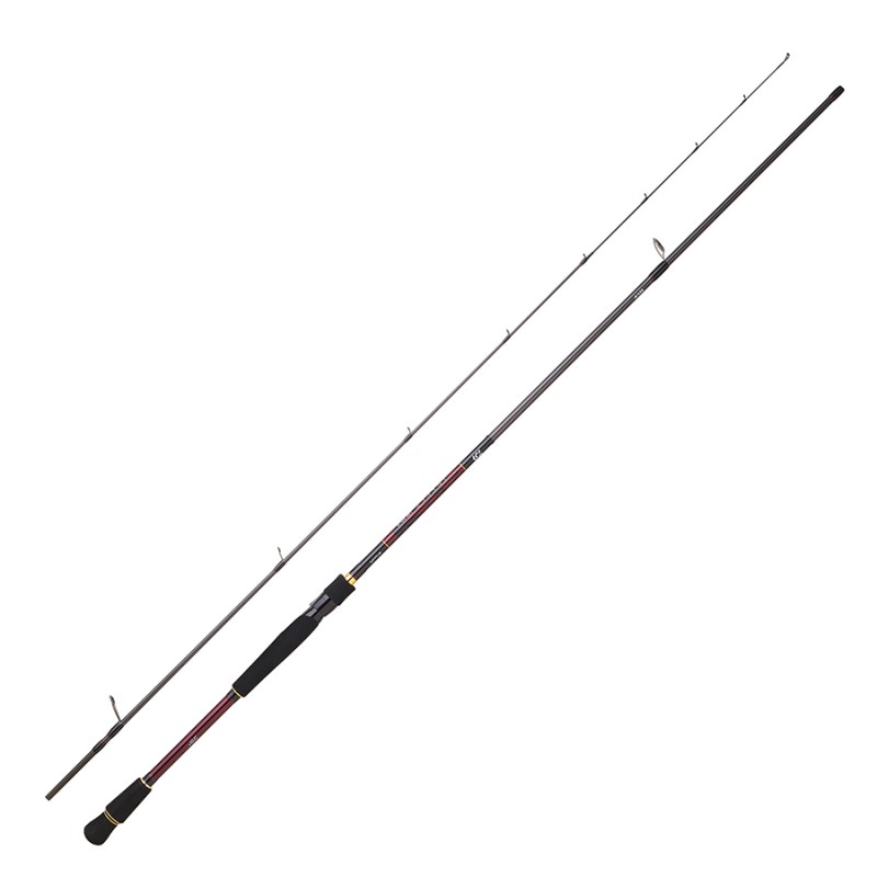 TOP Canne Rock fishing Infeet RF 2.29 2-6 G 762 LXFS INFRF762LXFSAF catalogue article peche Daiwa 2024