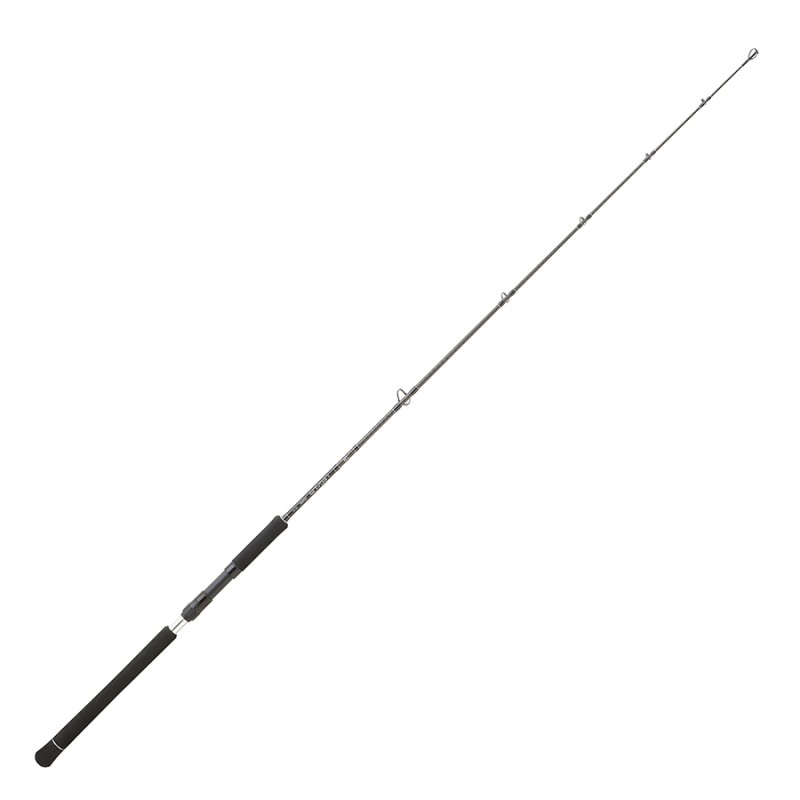 NEW Canne spinning Jigging Legalis 1.73 M 90-210 G O JG 581 HS LEGJG581HSBF catalogue Daiwa 2024