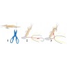 spara tenya kabura pêche sparidé appat leurre explorer tackle pecheur peche catalogue flashmer eschage appât