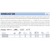 Windcast BR 5500 LDA WCBR5500LDA Moulinet debrayable  Daiwa chez pecheur peche com catalogue daiwa 2019