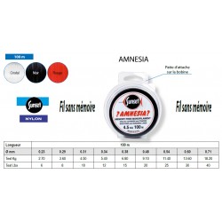 Amnesia nylon peche Sunset pecheur mouche pecheur surfcasting